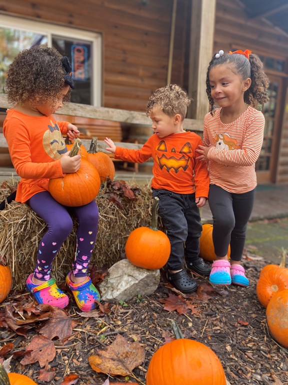 Fall Family Fun