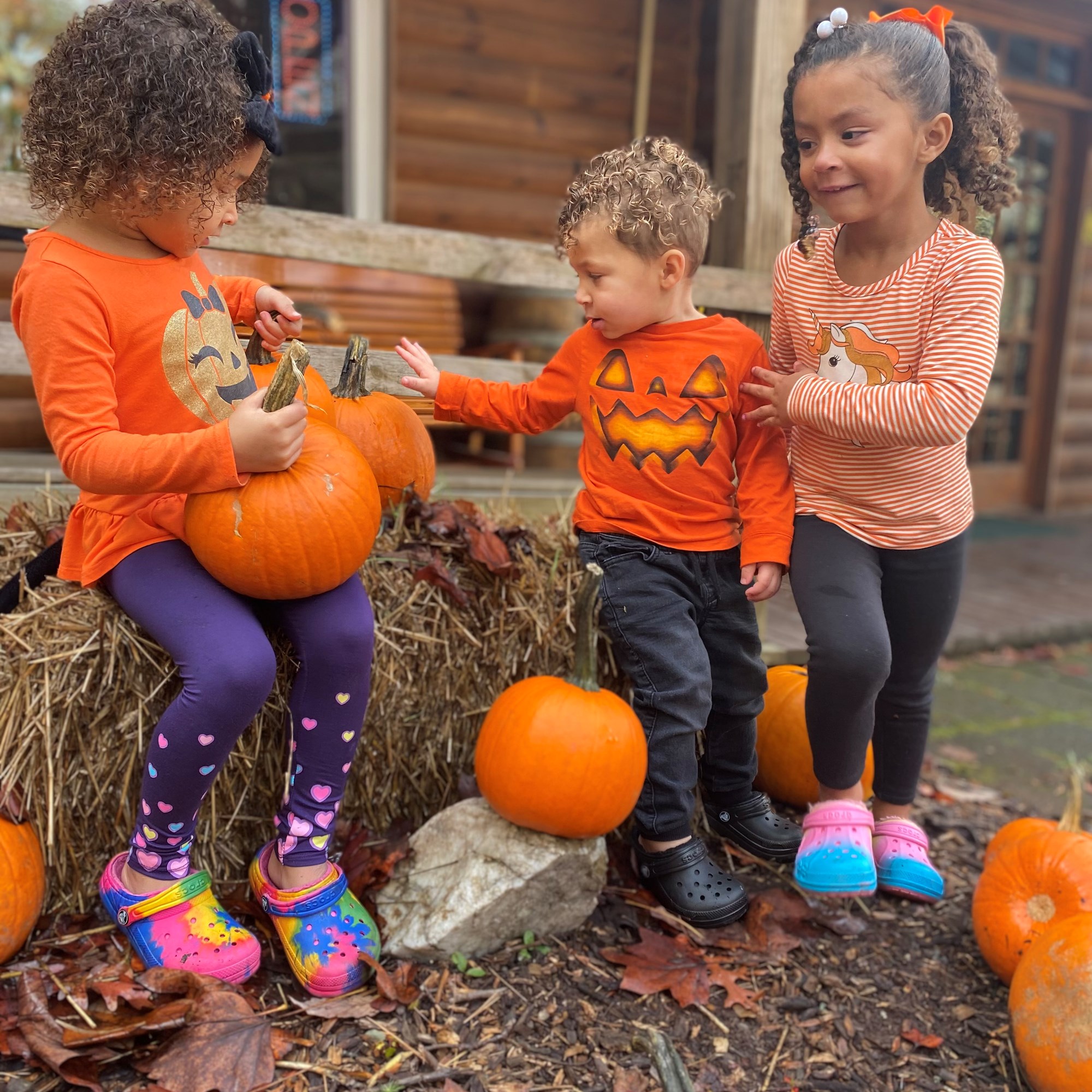 Fancy Fall Fun Weekend #1 Photo