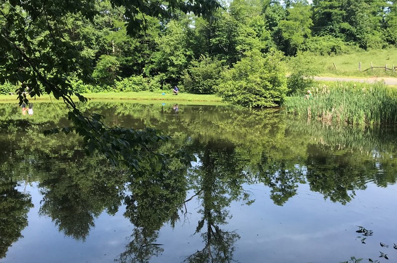 Father's Day Fishing Tournament Photo