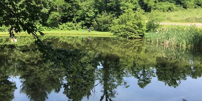 Father's Day Fishing Tournament