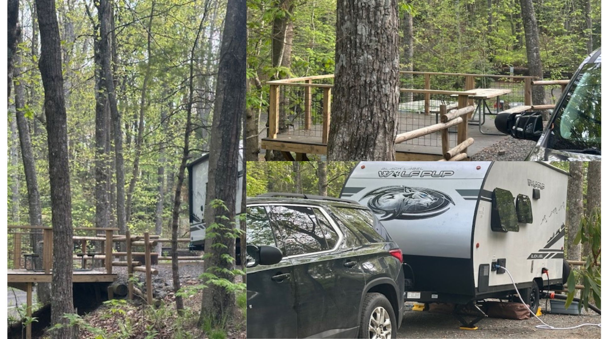 Site 51