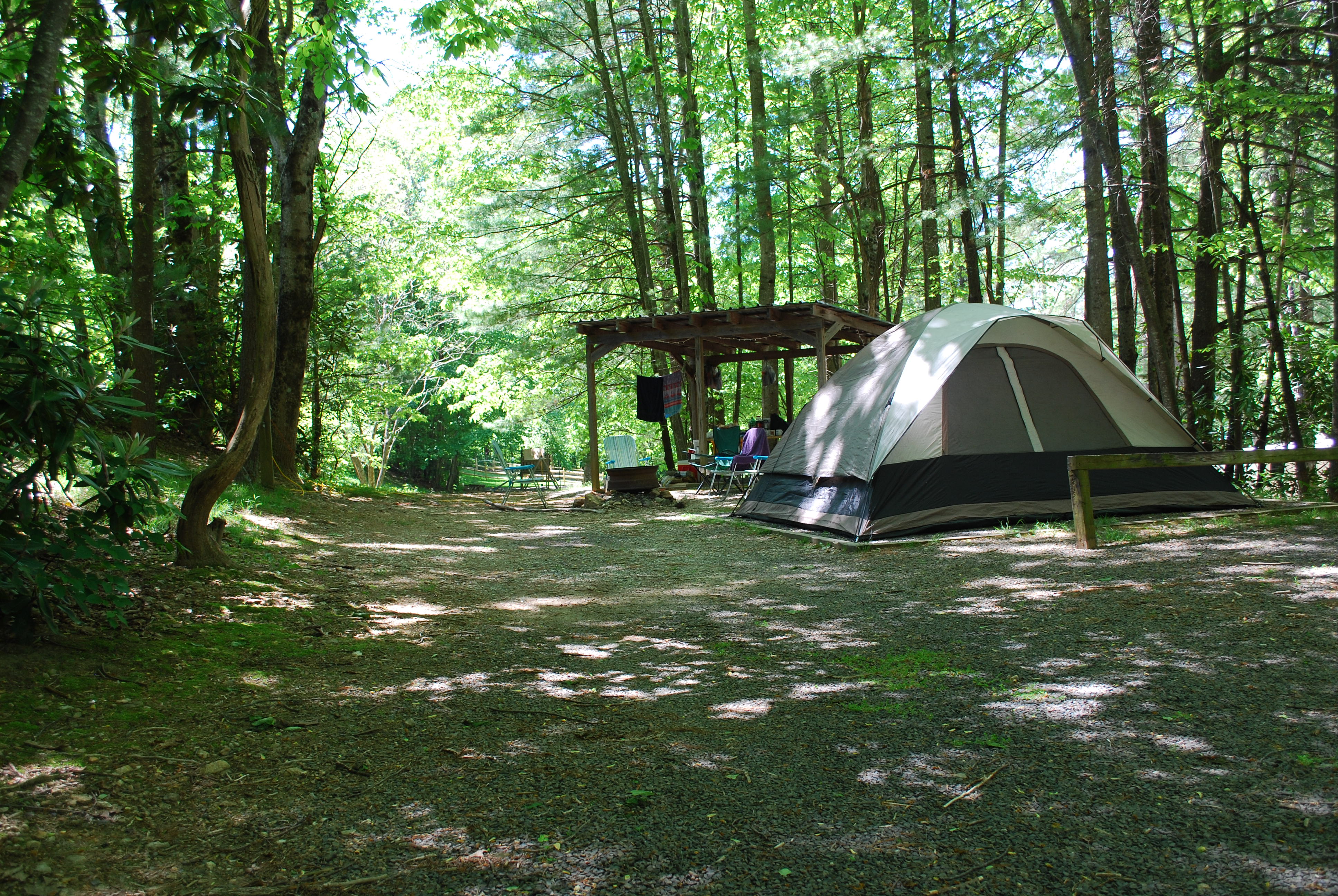 Site 40