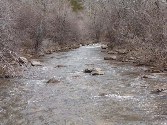 Fishing, Hiking and Mountain Biking