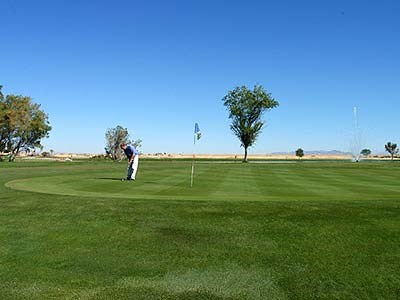 Golfing