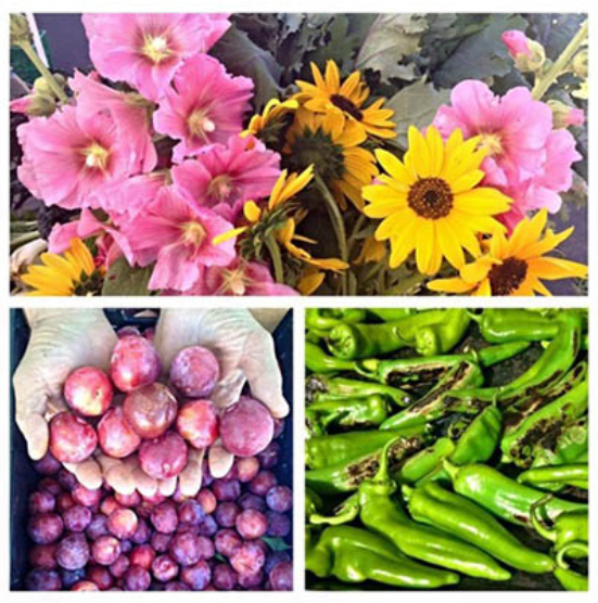 Flagstaff Summer Farmers' Market