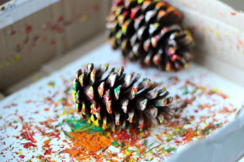 Pinecone Picasso Photo