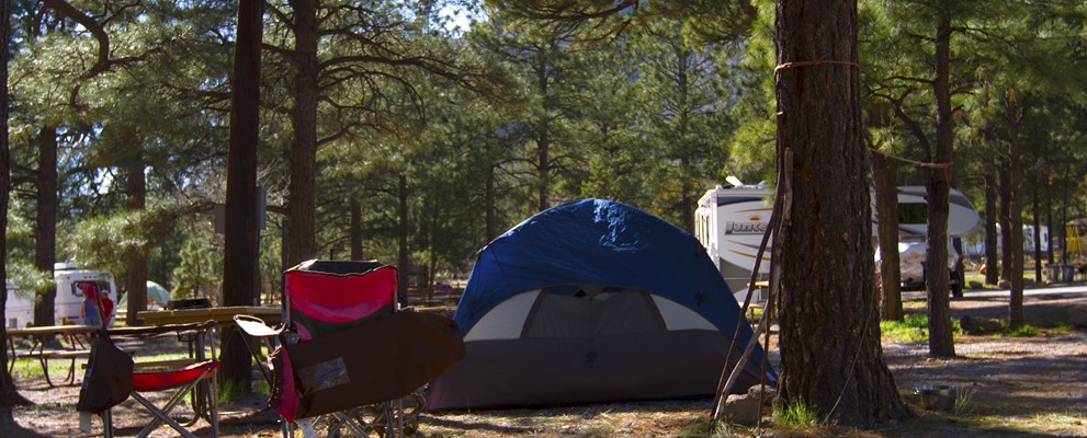 Basic Tent