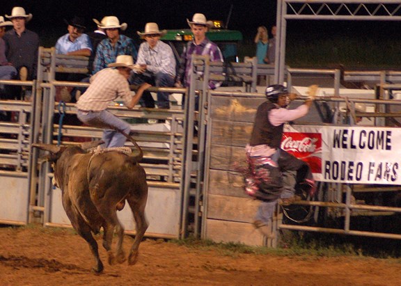 Rodeos