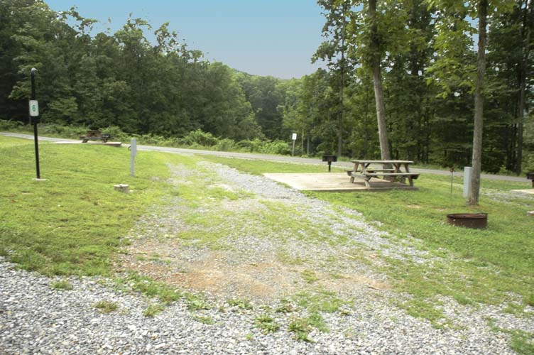 This site is a pull-through located in the Hickory Knoll section of the campground.  This spot is great for those who love nature as it has plenty of wildlife that surrounds it.