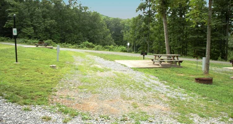 This site is a pull-through located in the Hickory Knoll section of the campground.  This spot is great for those who love nature as it has plenty of wildlife that surrounds it.