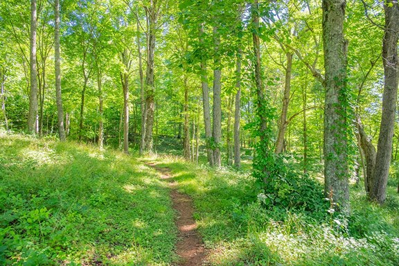 Nature Trails