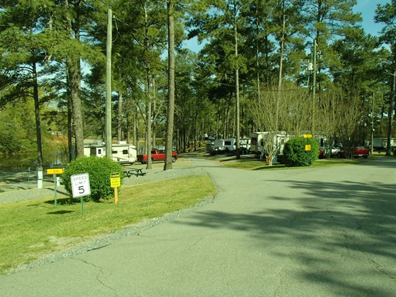 Some more sites near the playground