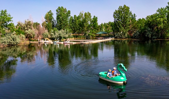 Paddle Boats
