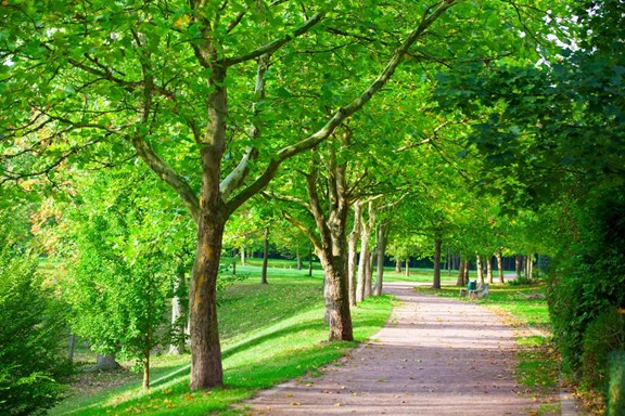 Fort Collins Parks & Recreation