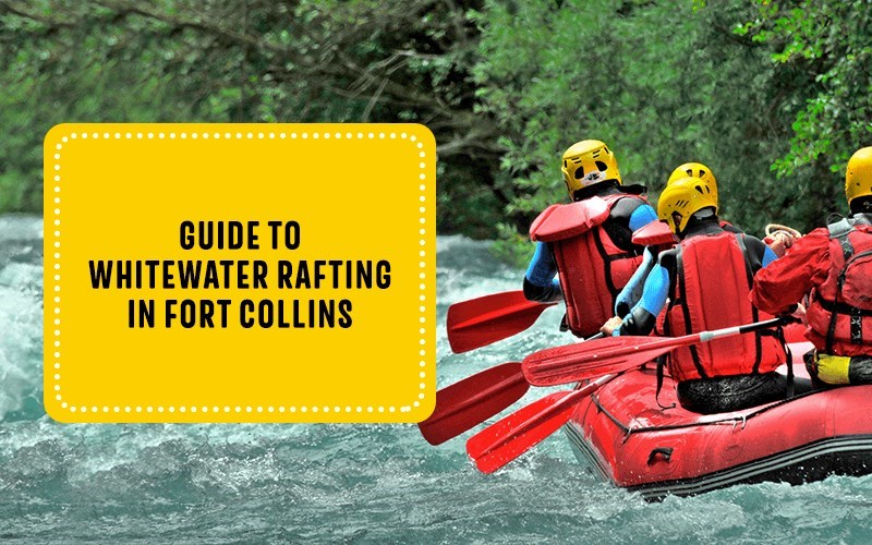 Guide to Whitewater Rafting in Fort Collins
