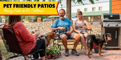 Pet-Friendly Patios &amp; Places in Fort Collins