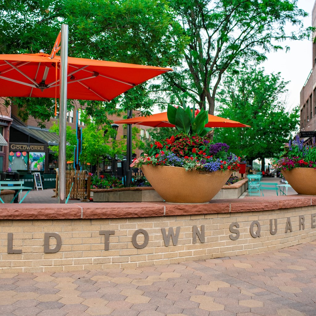 Summer Activities in Fort Collins, CO