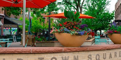 Summer Activities in Fort Collins, CO