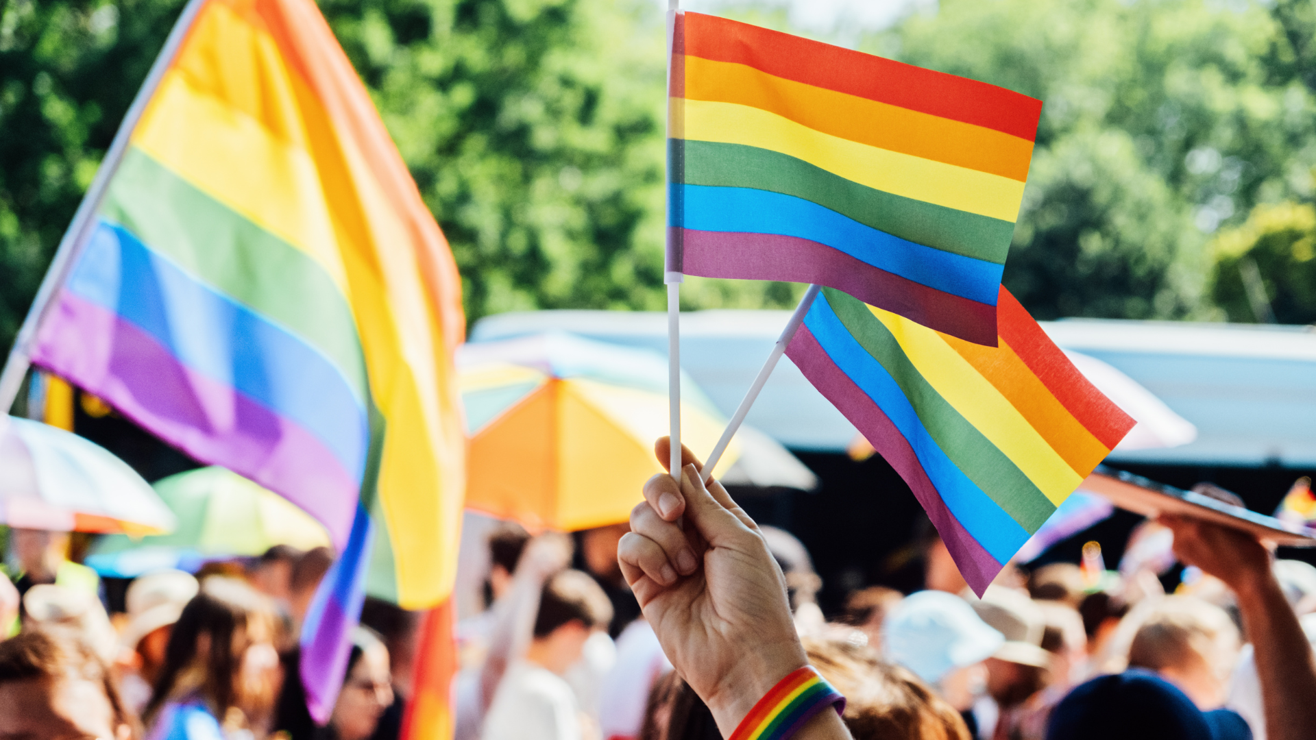 Fort Collins Pride Month Photo