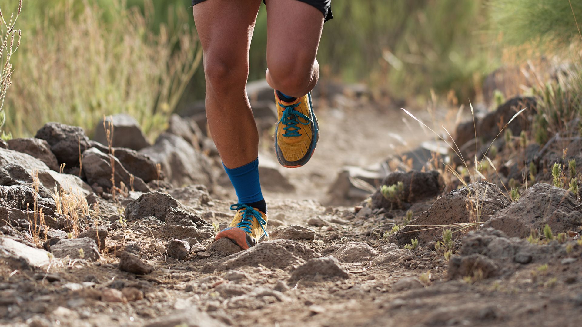 Summer 5k Run Series Photo