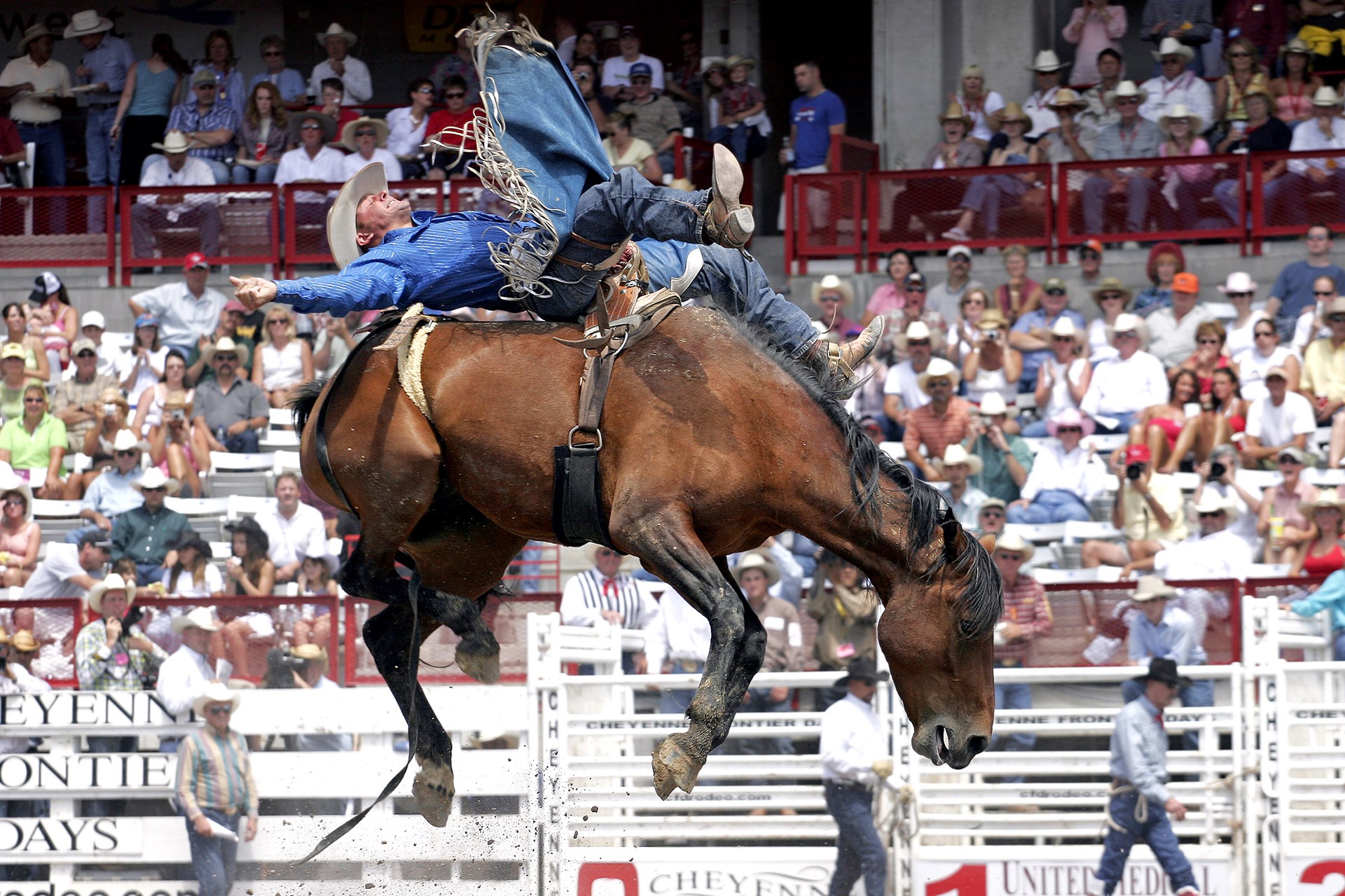 Rooftop Rodeo Photo