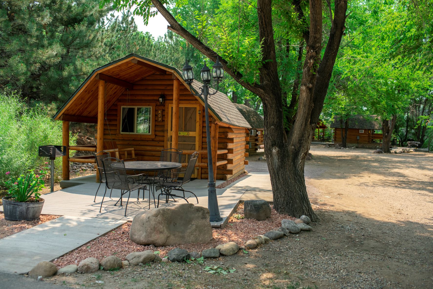 Camping Cabin 2021