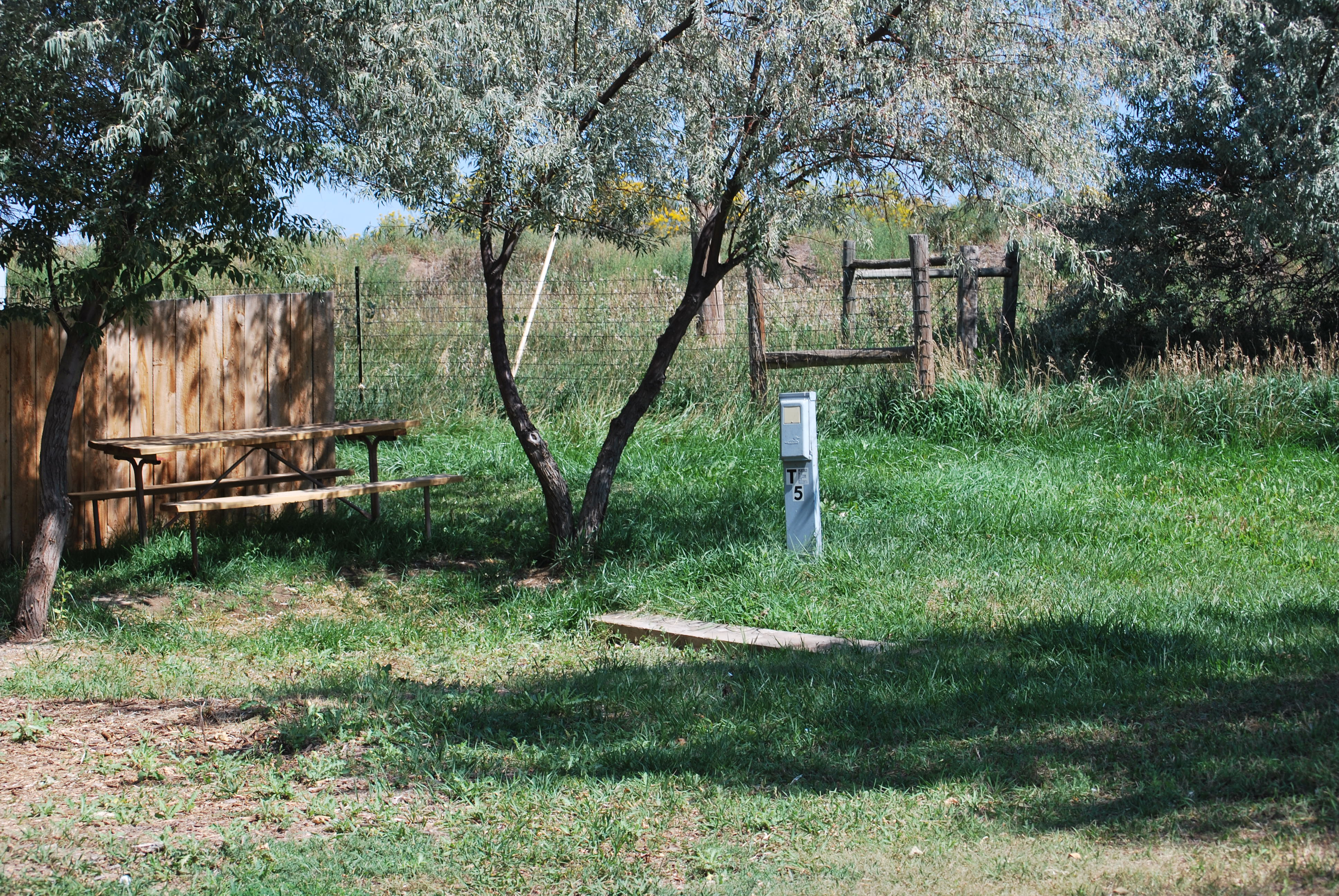 Tent Electric Site