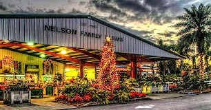 Nelson Family Farms