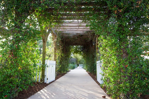 Port St Lucie Botanical Gardens