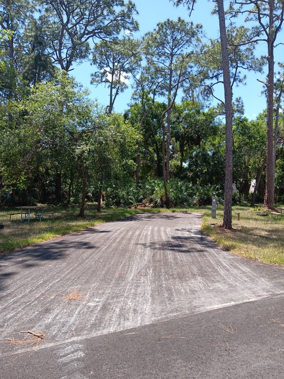 Pines Back-in Perimeter site