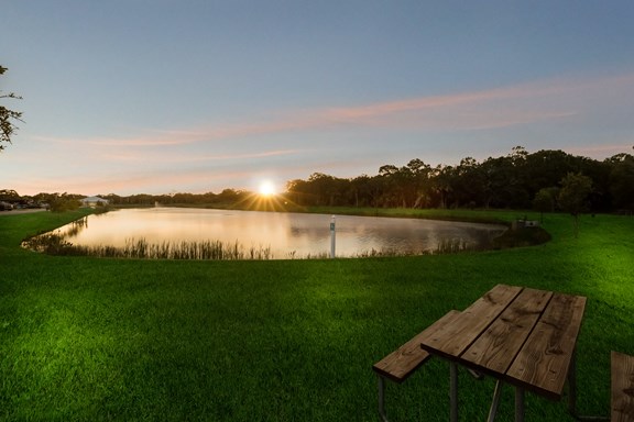 Pond at Twilight