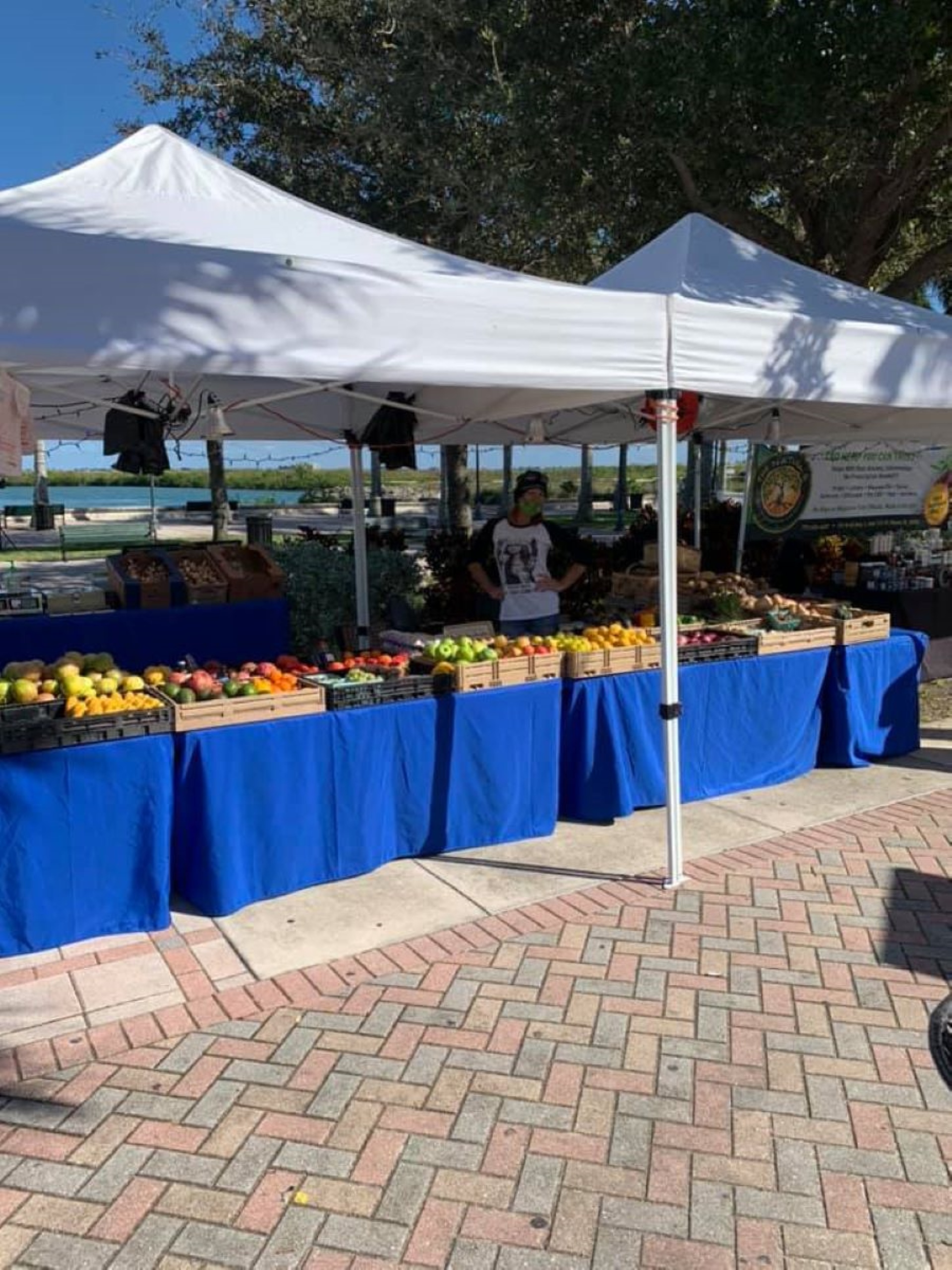 The Green Market Photo