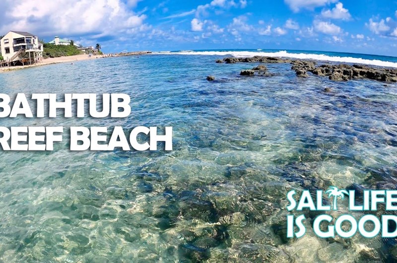 bathtub coral reef beach Photo