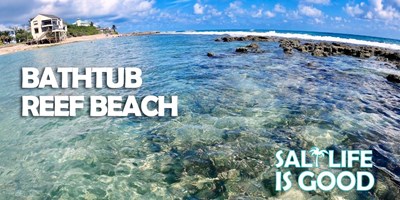 bathtub coral reef beach
