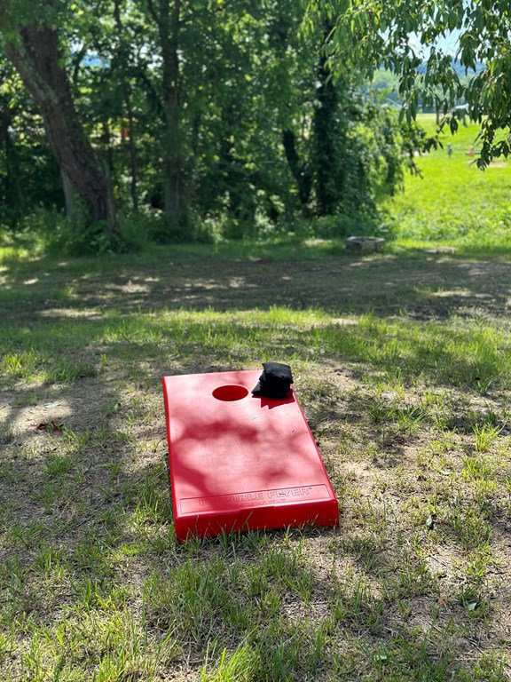 Cornhole