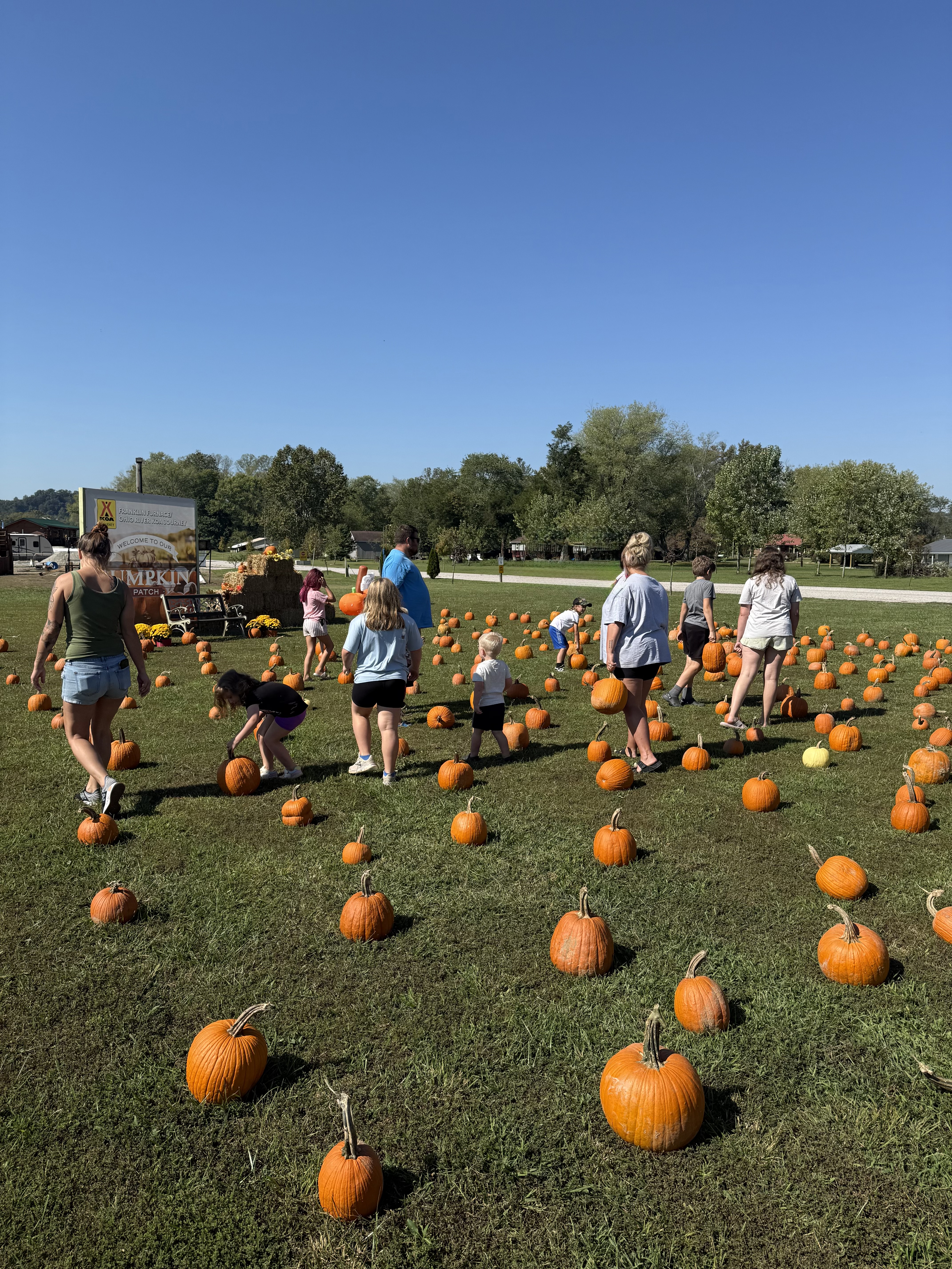 Welcome to our Pumpkin Patch Photo