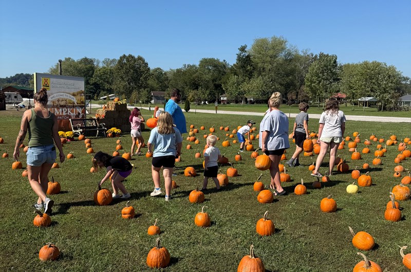 Welcome to our Pumpkin Patch Photo