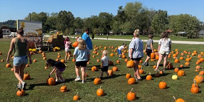 Welcome to our Pumpkin Patch