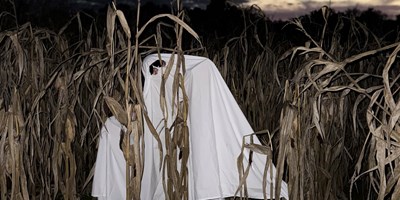 Halloween 2026