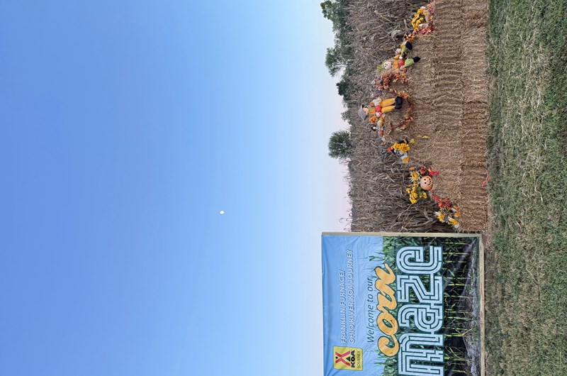 Corn Maze Photo
