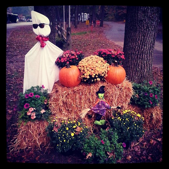 Halloween Time!