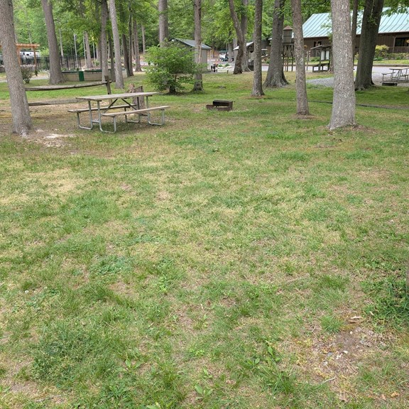 Grass, no hook ups