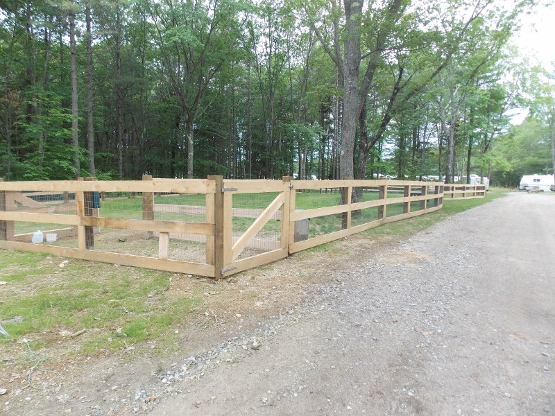 Dog Park