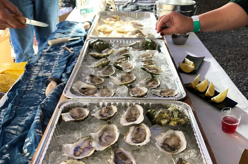 MAINE OYSTER FESTIVAL! Photo