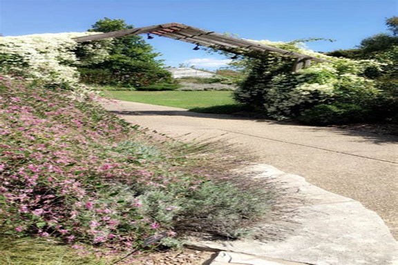 LUTHY BOTANICAL GARDEN