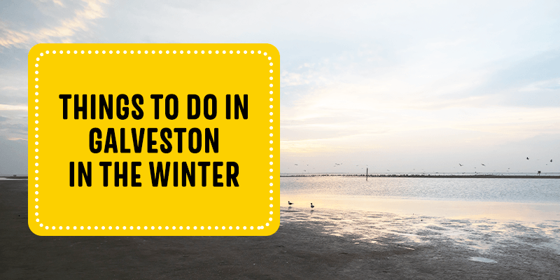 Things to Do in Galveston in the Winter