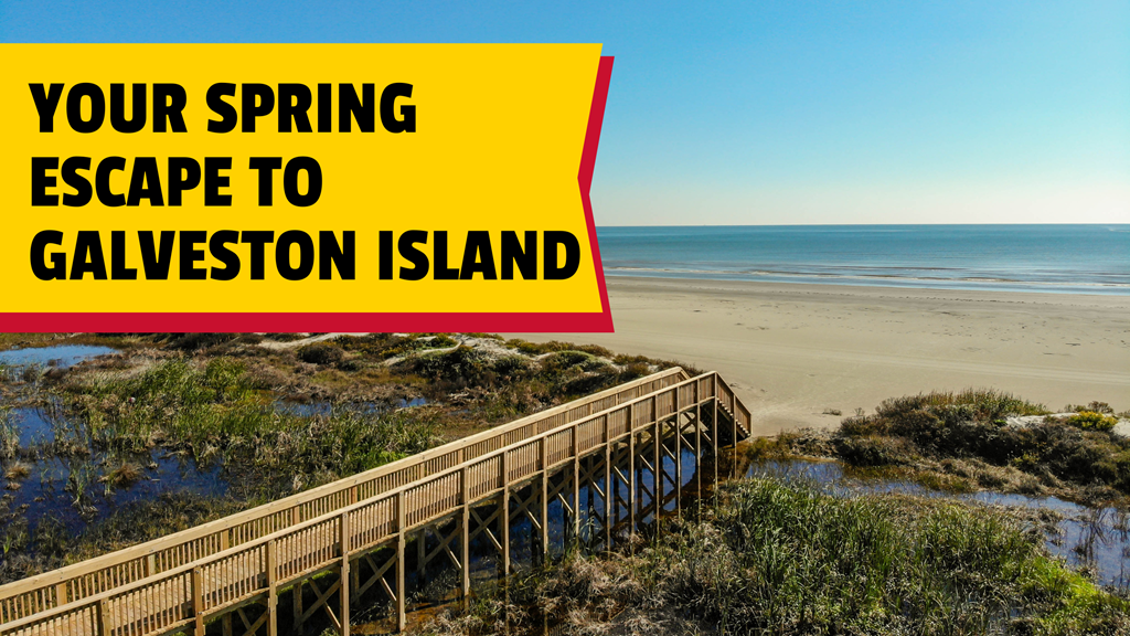 Why March Is a Great Time to Visit Galveston Island