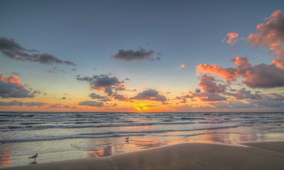 Beach Across the Road