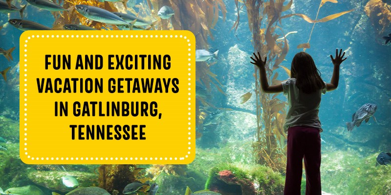 Fun and Exciting Vacation Getaways in Gatlinburg, Tennessee