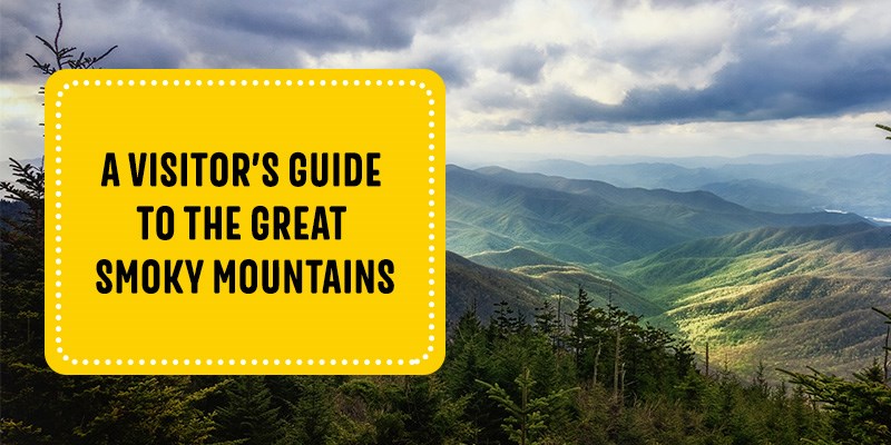 A Visitor's Guide to the Great Smoky Mountains